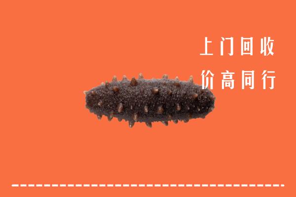 高价求购：丽水回收海参