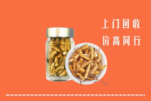 丽水回收冬虫夏草
