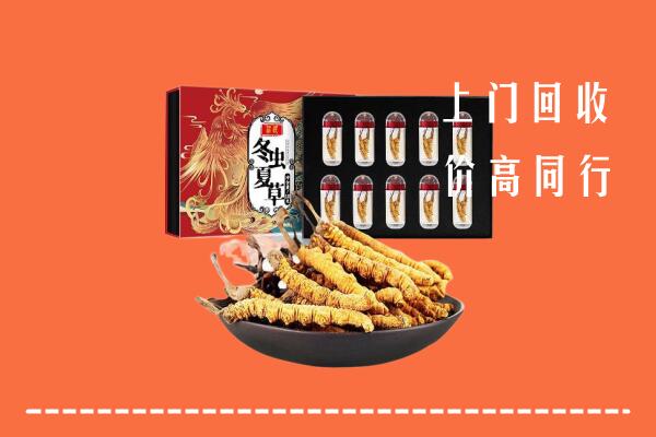 丽水回收虫草